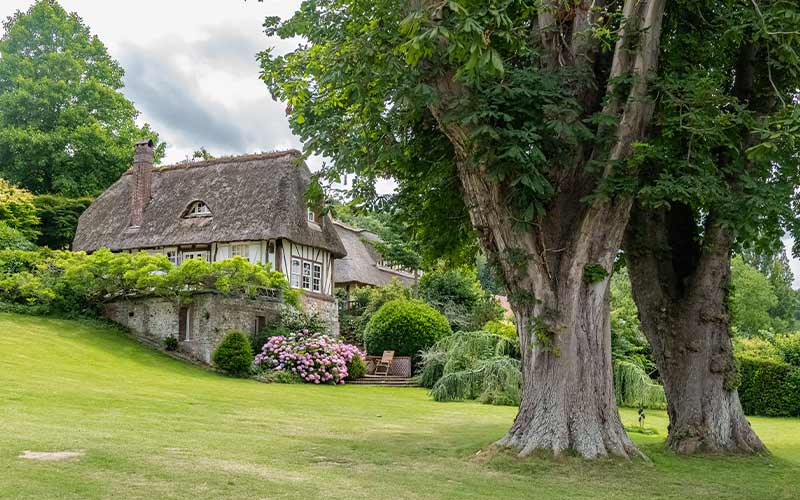 cottage styled home with a thatch roof in the countryside